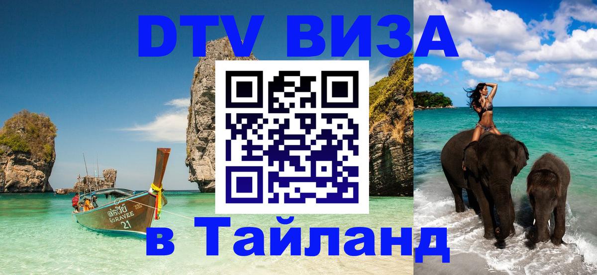 Оформление DTV визы под ключ: стоимость и тарифы, только загранпаспорт - Санкт-Петербург 